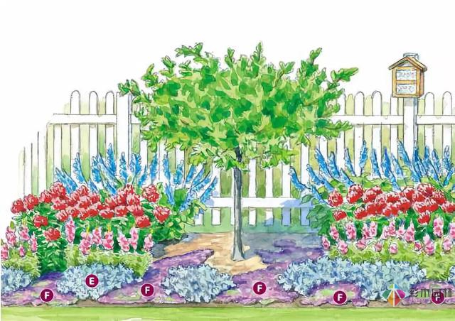 庭院花境園藝設計和植物搭配需要哪些要求?