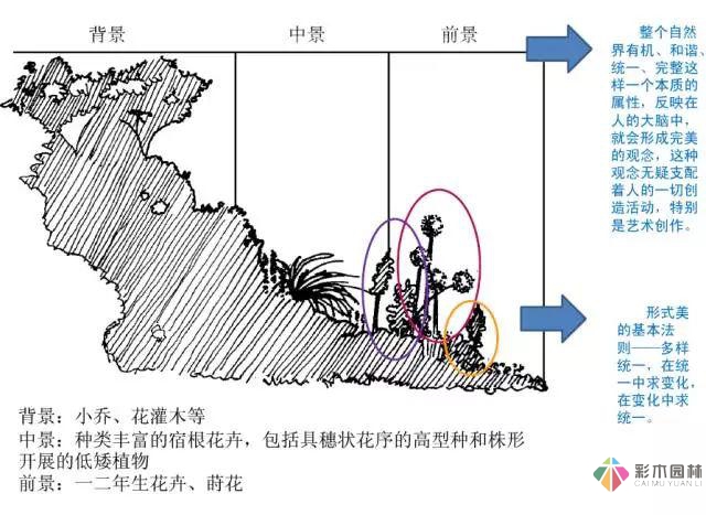 庭院花境園藝設計和植物搭配需要哪些要求?