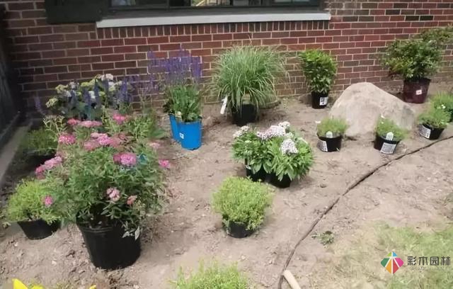 庭院花境園藝設計和植物搭配需要哪些要求?