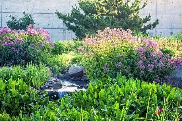 庭院花境園藝設計和植物搭配需要哪些要求?