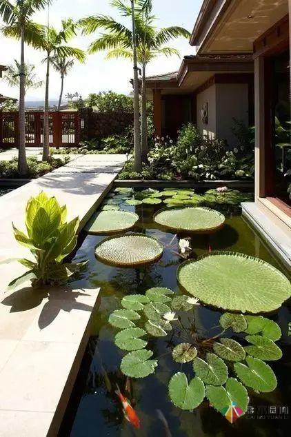 庭院花園設計怎么少的了水景?