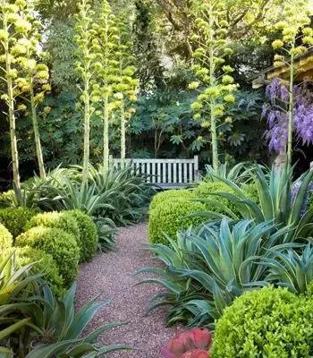 花園庭院設(shè)計(jì)中植物該怎么設(shè)計(jì)?
