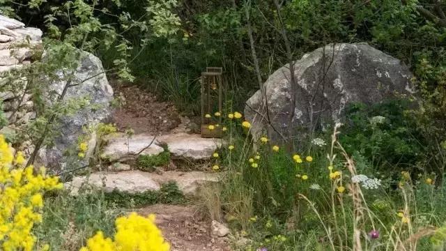 花園庭院設(shè)計(jì)中植物該怎么設(shè)計(jì)?