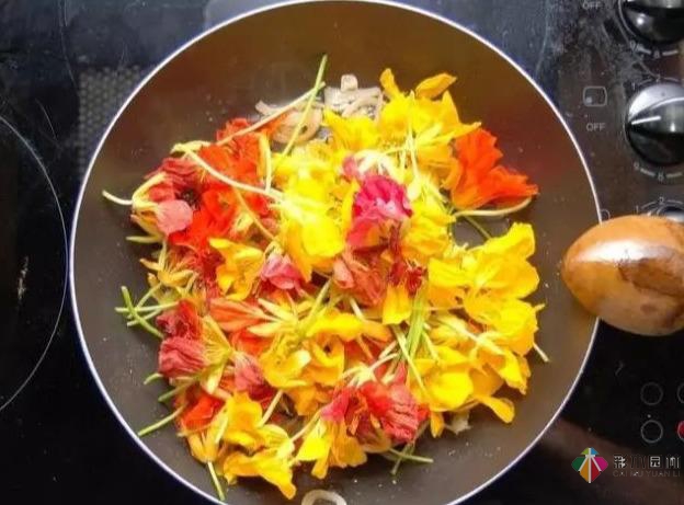 15個容器蔬菜花園設計看得我真的好想要!