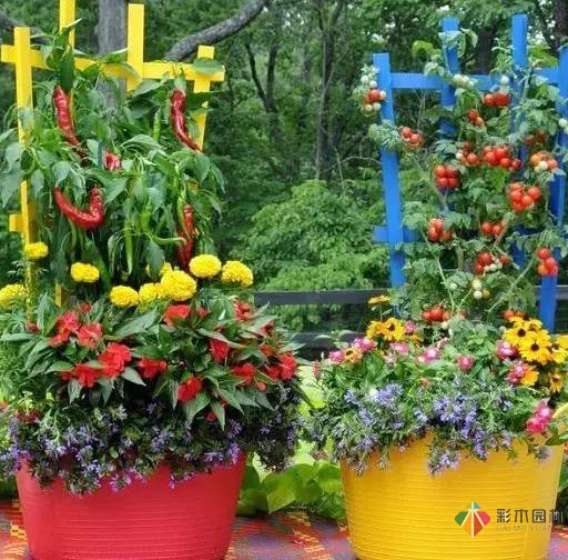 15個容器蔬菜花園設計看得我真的好想要!