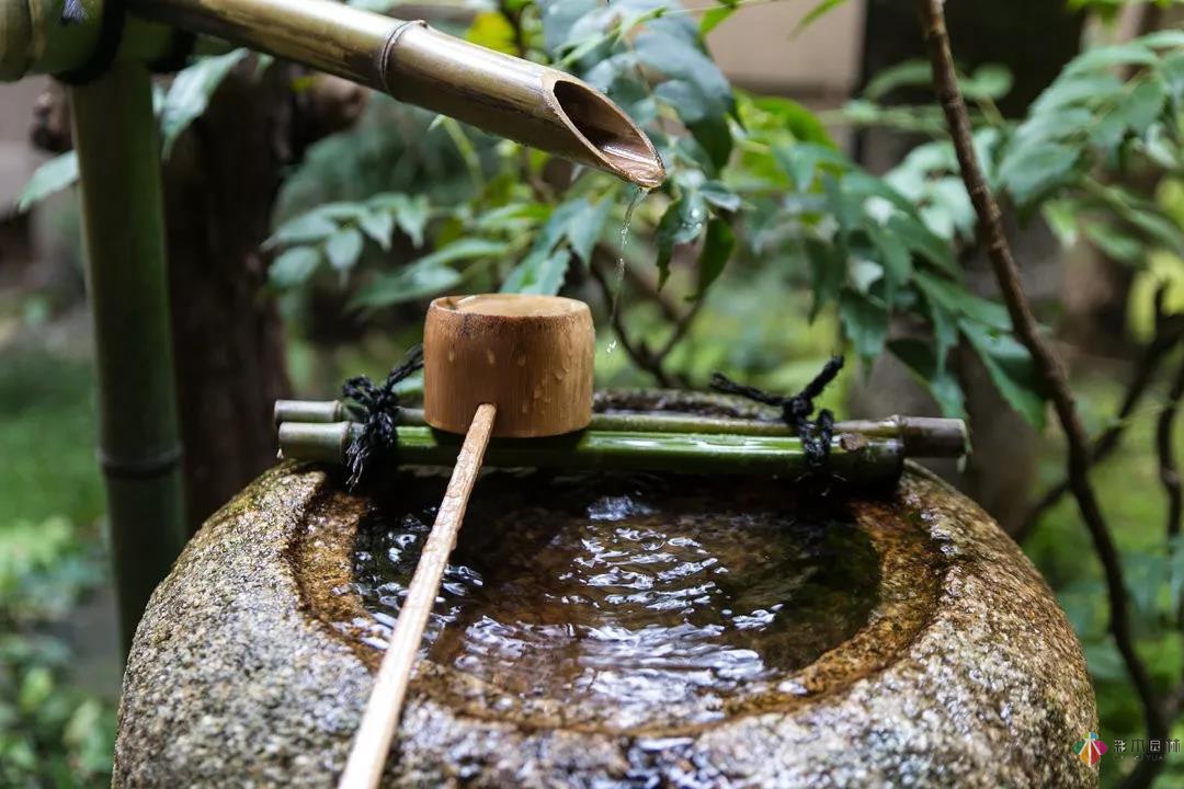 花園水景設計和養護要點基本的都在這里了！