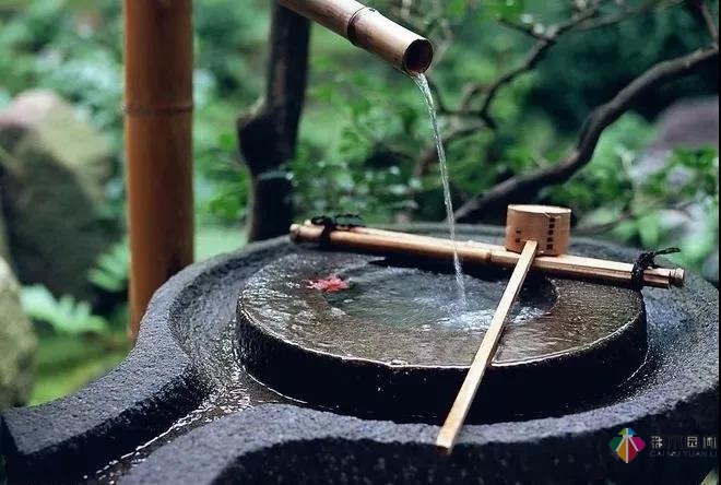 花園水景設計和養護要點基本的都在這里了！
