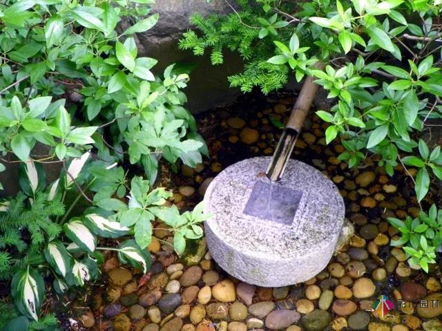 花園水景設計和養護要點基本的都在這里了！