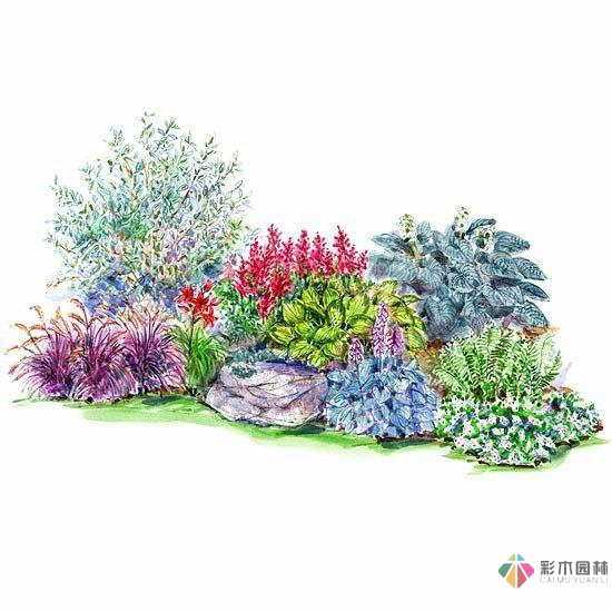 繪畫花境設(shè)計(jì)對植物總是表現(xiàn)的四方面