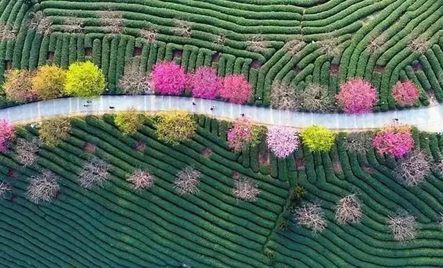 這樣做鄉(xiāng)村旅游景觀設(shè)計,那不是人氣爆滿!