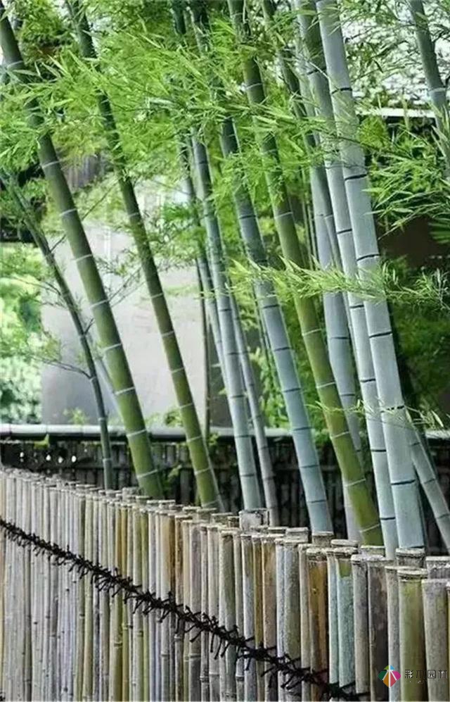 田園式花園景觀設計,這些鄉土元素必不可少