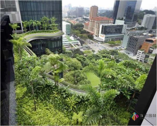 屋頂花園露臺設(shè)計案例效果圖