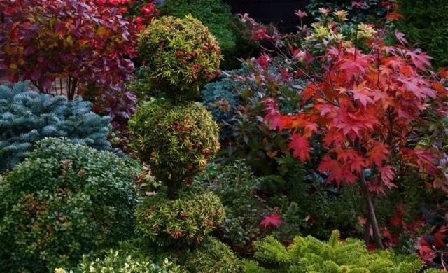 花境設計——呈現植物之美