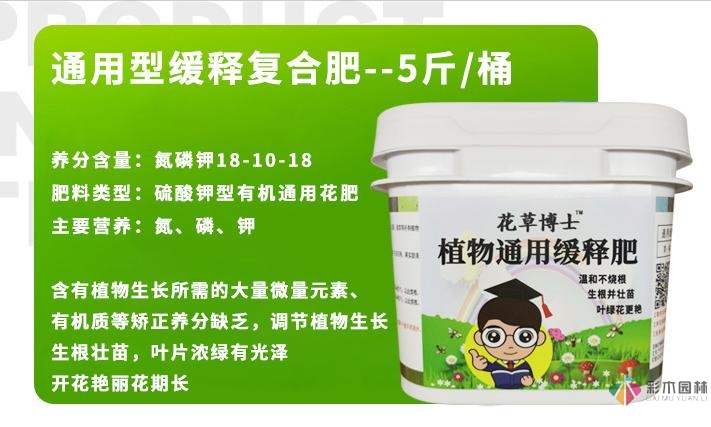 80㎡迷你陽臺，小療系花園，70盆花，美不勝收。