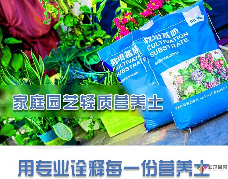 30㎡復式露臺，種花種草打造“sky 花園”，折騰了一年多，