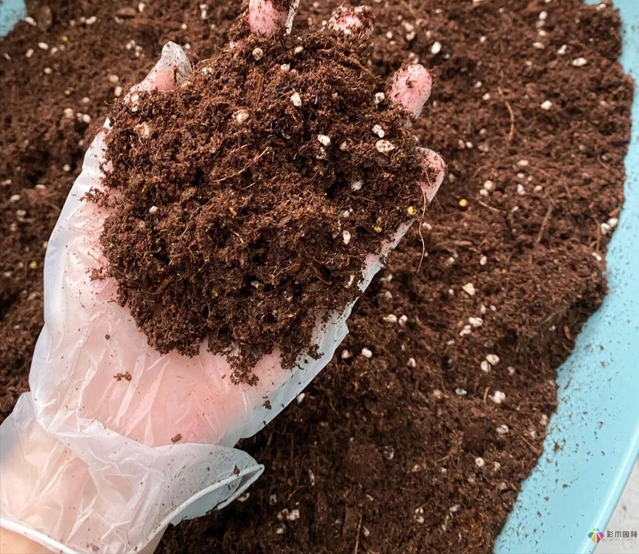30㎡復式露臺，種花種草打造“sky 花園”，折騰了一年多，