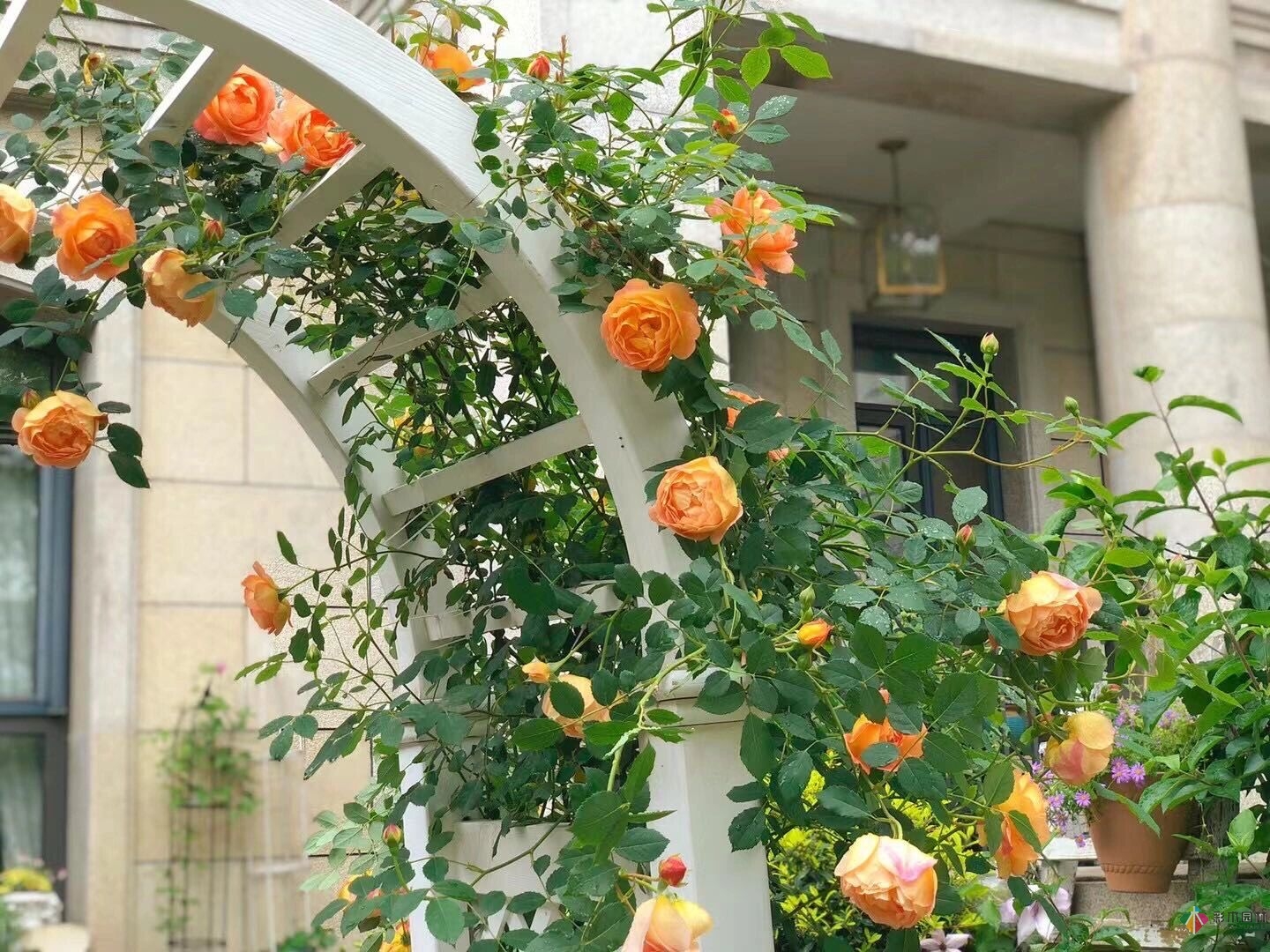 100㎡首層庭院，打造“私人小花園”雜貨風(fēng)格。太美了。
