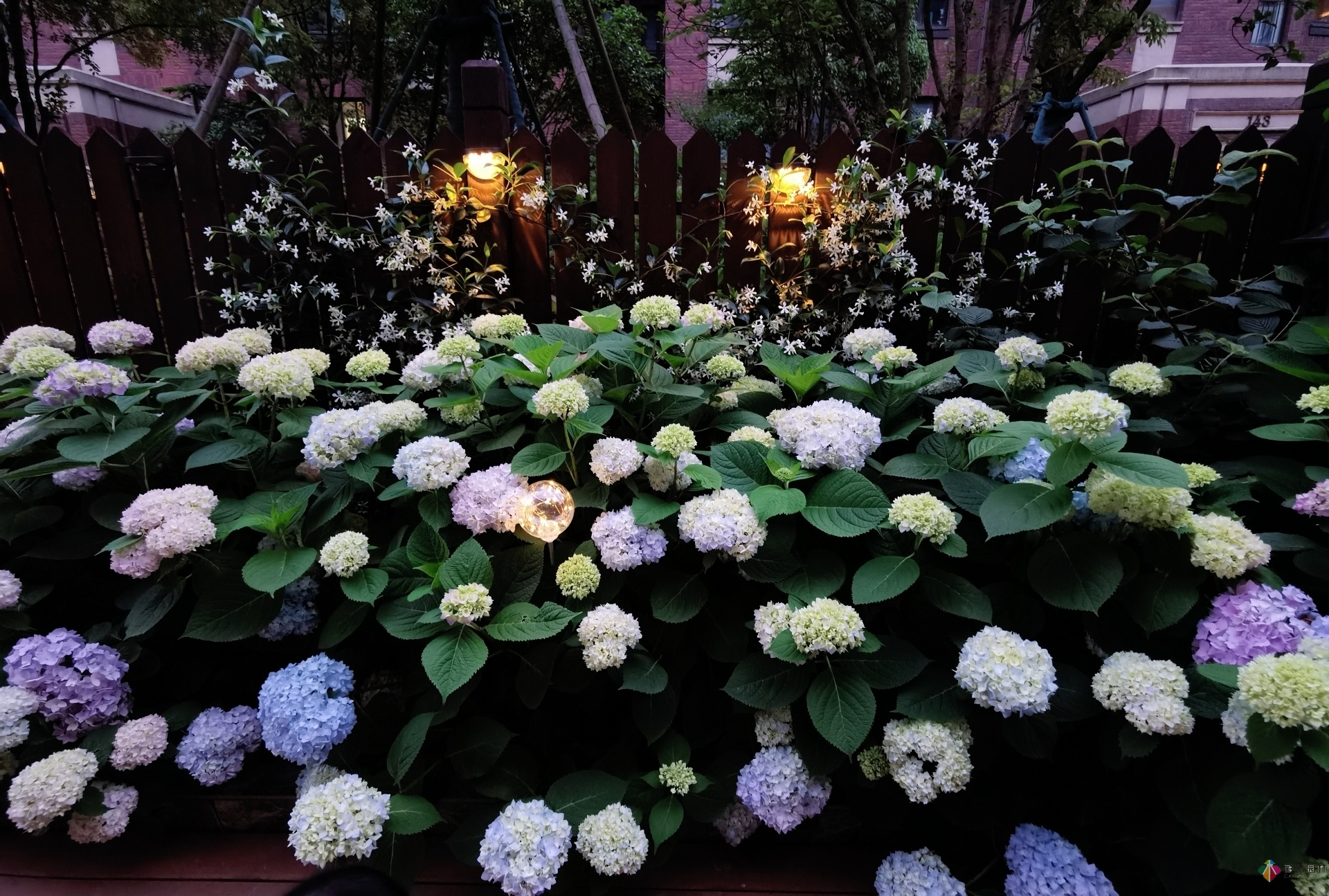 不顧父母反對,買了一層110㎡的院子,自己一個人折騰成花園。就這么治好了。