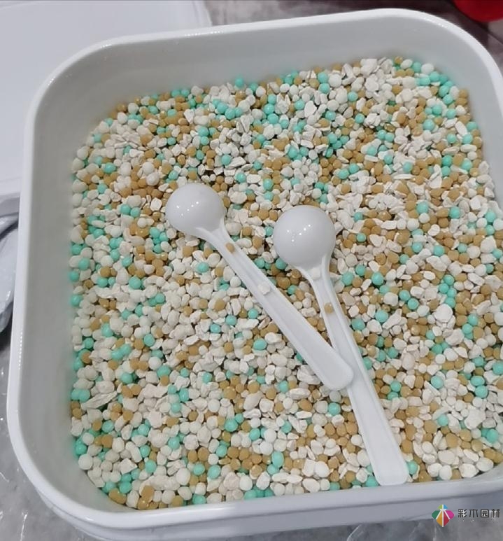 不顧父母反對,買了一層110㎡的院子,自己一個人折騰成花園。就這么治好了。