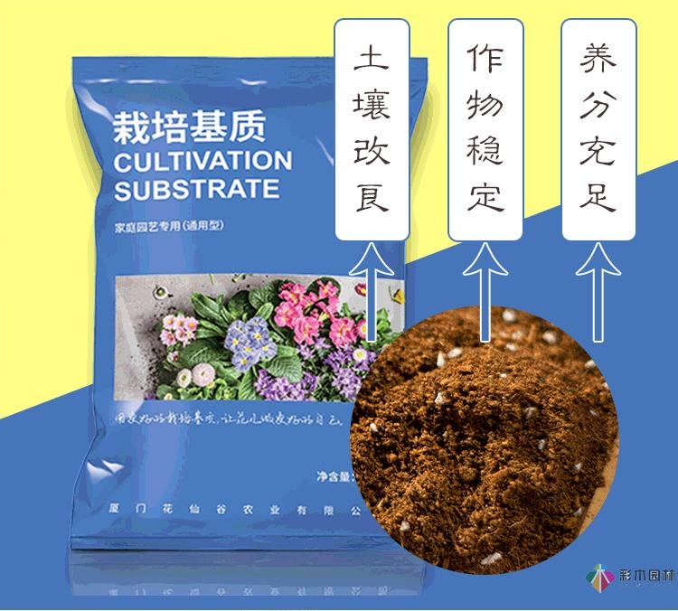 不顧父母反對,買了一層110㎡的院子,自己一個人折騰成花園。就這么治好了。