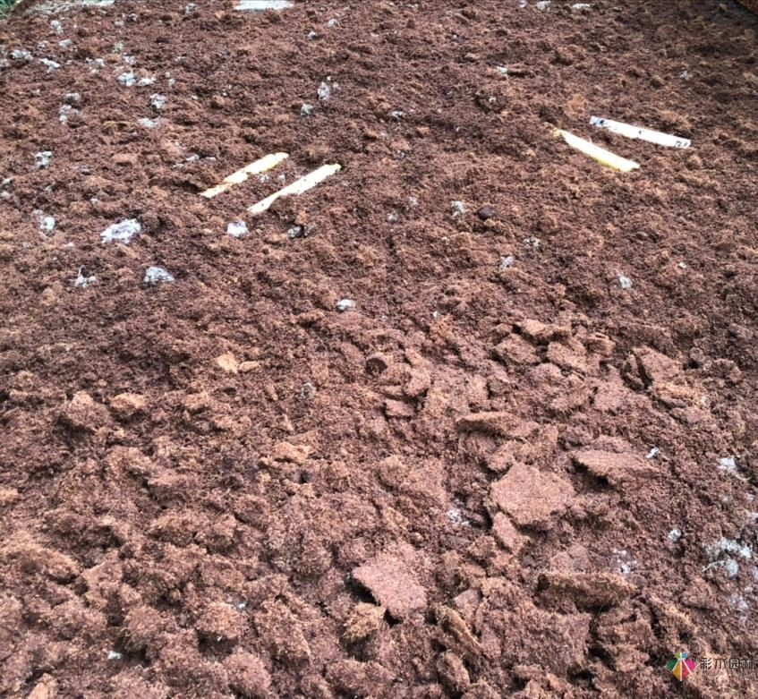 舊房改造:DIY 花園攻略，快速利用閑置空間，很漂亮。