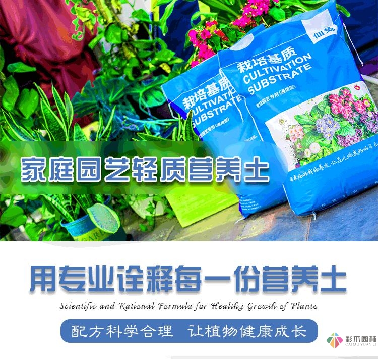 舊房改造:DIY 花園攻略，快速利用閑置空間，很漂亮。