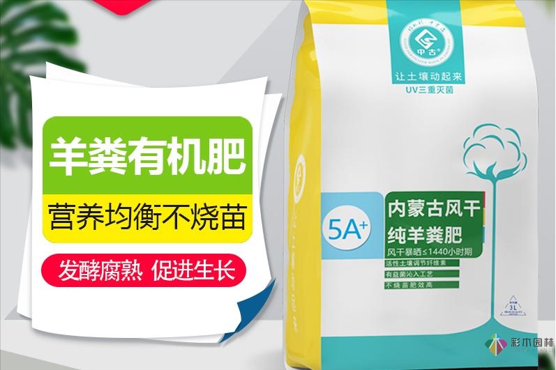 舊房改造:DIY 花園攻略，快速利用閑置空間，很漂亮。