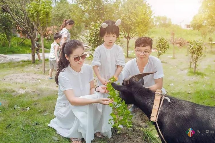 健康長壽的秘訣竟然是……一座治愈性花園？