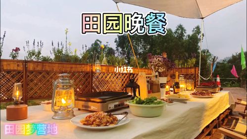 對(duì)于花園，我買(mǎi)了這個(gè)一樓帶院子的房子，自己裝修的過(guò)程