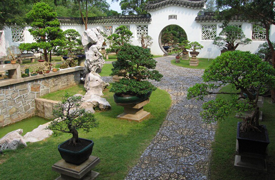 別墅庭院設計公司：打造專屬的夢想庭院